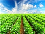 رشد بخش کشاورزی رشد اقتصادی کشور را مثبت کرد