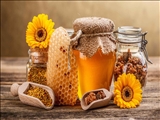 آذربایجان‌شرقی رتبه اول بسته‌بندی عسل در کشور