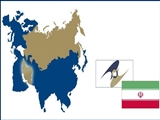بررسی حجم مبادلات تجاری ایران و اتحادیه اوراسیا
