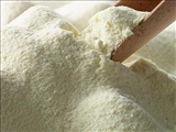 ممنوعیت صادرات شیرخشک رفع شد/ عوارض صادراتی هر کیلو ۱۶هزارتومان