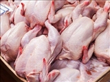 واردات ۵۰ هزار تن گوشت مرغ به گمرک ابلاغ شد