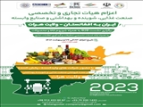 اعزام هیات تجاری و تخصصي صنعت غذايي، شوينده و بهداشتي به افغانستان (ولایت هرات)