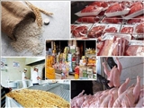 معافیت واردات کالاهای اساسی از استان‌های مرزی با محل تامین ارز 