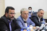 نشست فعالان اقتصادی استان با معاون صنایع عمومی وزارت صنعت