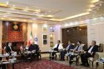 دیدار هیئت نمایندگان با سرپرست بیمه تعاون