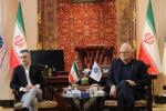 دیدار هیئت نمایندگان با سرپرست بیمه تعاون