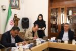 کارگروه شورا