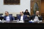 نشست بررسی قانون قاچاق کالا و ارز