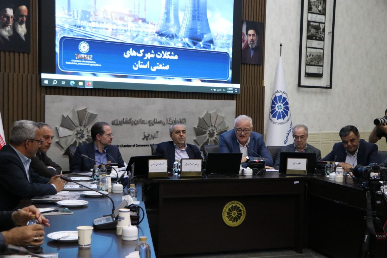 نشست مشترک فعالان اقتصادی استان با معاون وزیر